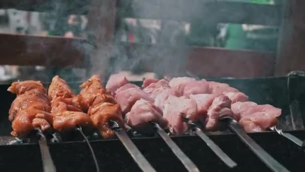 Meat Barbecue Fried Skewers Grill Nature Cooking Delicious Barbecue Nature — 비디오