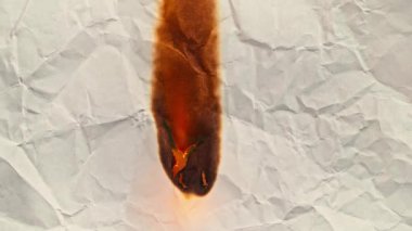 White paper burns from above on a green background copy space. The sheet of paper burns and reveals a green background for pasting.