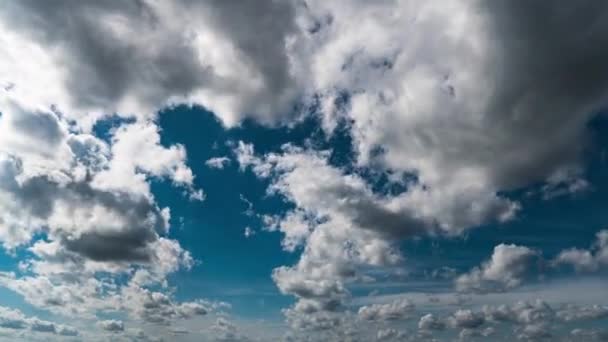 Nubes Blancas Esponjosas Flotan Lentamente Través Del Cielo Azul Diurno — Vídeos de Stock