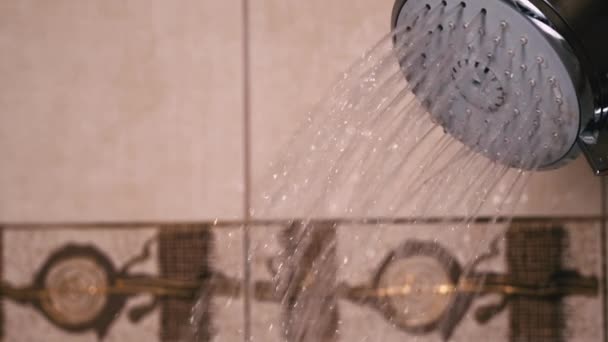 Mão Das Mulheres Mantém Chuveiro Banheiro Partir Qual Água Flui — Vídeo de Stock