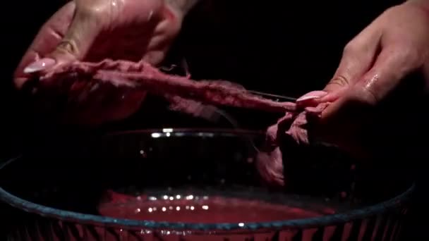 Mãos Das Mulheres Ligaduras Todas Cobertas Sangue Lavam Mãos Escuro — Vídeo de Stock