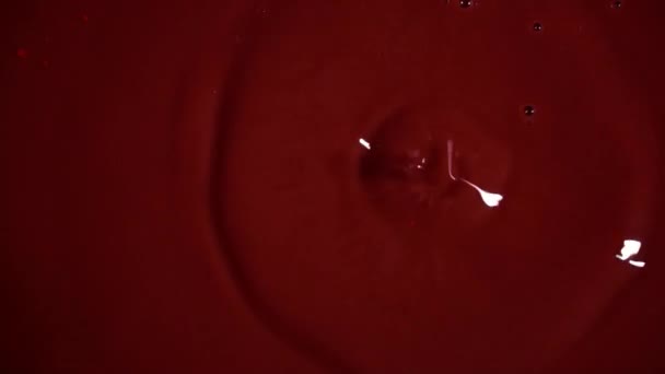 Gotas Sangre Roja Gotean Charco Sangre Cerca Maldito Desastre Una — Vídeo de stock