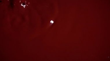 Kırmızı kan damlaları kan birikintisinin içine damlıyor. Kanlı pislik. Korkunç bir kanama. Kırmızı kan damlaları yüzeye düşer. Kanlı korkuluklar..