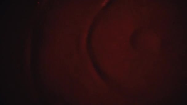 Piros Vércseppek Csöpögnek Közeli Vértócsába Rohadt Szemét Szörnyű Vérzés Bíbor — Stock videók