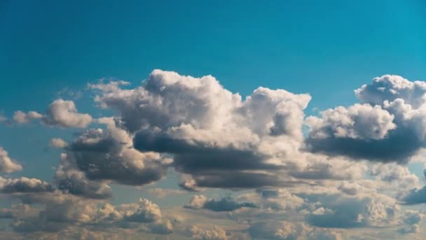 White Fluffy Clouds Slowly Float Blue Daytime Sky Timelapse Beautiful — Vídeo de stock