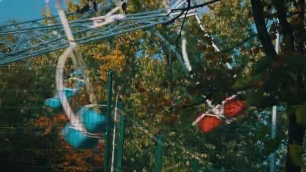 Çok Renkli Çocuklar Sonbahar Parkında Papatya Çayı Sallıyor Çocuklar Için — Stok video