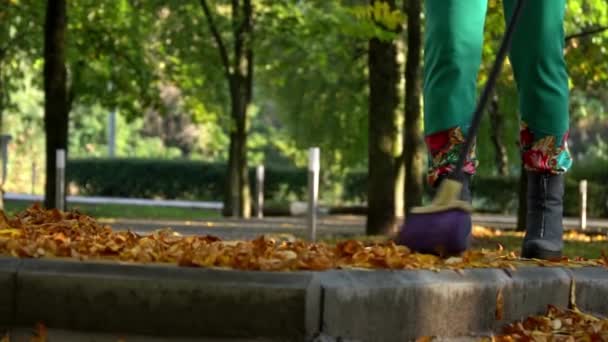 Pulizia Autunno Foglie Gialle Nel Parco Sulla Spiaggia Dal Basso — Video Stock