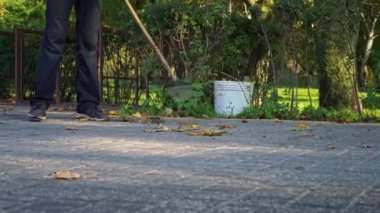 Aşağıdan kumsaldaki parkta sonbahar sarı yapraklarını temizliyorum. Temizlikçi portakal yapraklarını kavrayıp, onları büyük bir yığına süpürüyor. Bölgenin sonbahar temizliği.