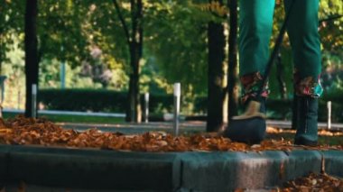 Aşağıdan kumsaldaki parkta sonbahar sarı yapraklarını temizliyorum. Temizlikçi portakal yapraklarını kavrayıp, onları büyük bir yığına süpürüyor. Bölgenin sonbahar temizliği.