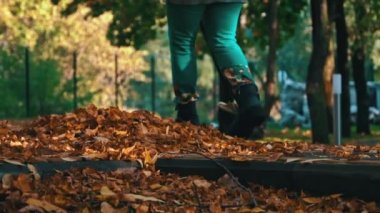 Aşağıdan kumsaldaki parkta sonbahar sarı yapraklarını temizliyorum. Temizlikçi portakal yapraklarını kavrayıp, onları büyük bir yığına süpürüyor. Bölgenin sonbahar temizliği.