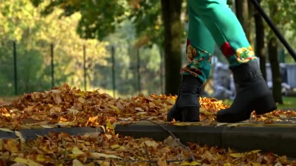 Czyszczenie Jesiennych Żółtych Liści Parku Plaży Dołu Sprzątaczka Trzyma Pomarańczowe — Wideo stockowe