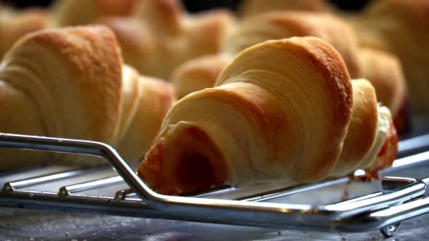 Croissants Rellenos Esponjosos Espolvoreados Con Azúcar Polvo Lento Los Pasteles — Vídeo de stock