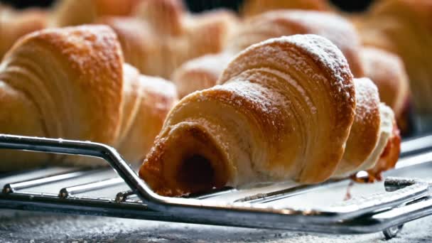 Fluffy Diisi Croissant Ditaburi Dengan Bubuk Gula Dalam Lambat Kue — Stok Video
