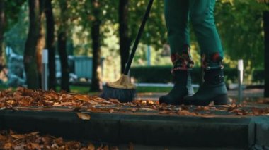 Aşağıdan kumsaldaki parkta sonbahar sarı yapraklarını temizliyorum. Temizlikçi portakal yapraklarını kavrayıp, onları büyük bir yığına süpürüyor. Bölgenin sonbahar temizliği.