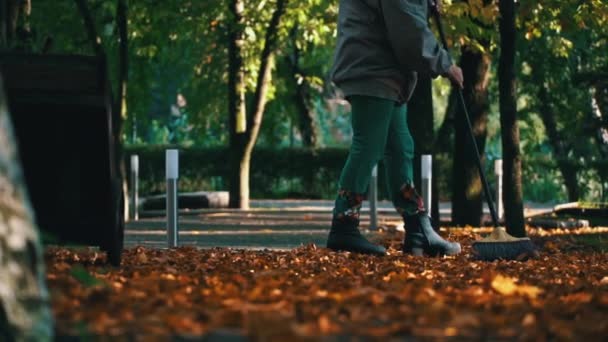 Reinigen Herfst Gele Bladeren Het Park Het Strand Van Onderen — Stockvideo