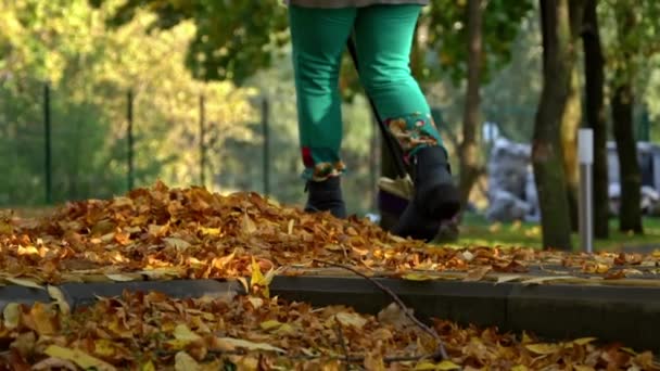 Čištění Podzimních Žlutých Listů Parku Pláži Zdola Uklízeč Svírá Oranžové — Stock video