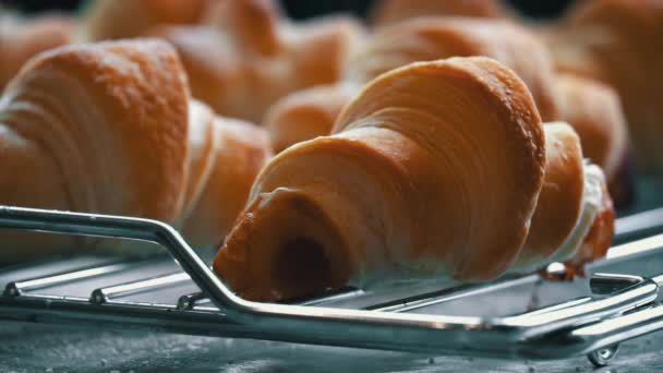 Chlupaté Plněné Croissanty Sypané Sladkým Práškem Pomalém Tempu Detailní Pečivo — Stock video