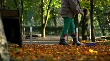 Aşağıdan kumsaldaki parkta sonbahar sarı yapraklarını temizliyorum. Temizlikçi portakal yapraklarını kavrayıp, onları büyük bir yığına süpürüyor. Bölgenin sonbahar temizliği.