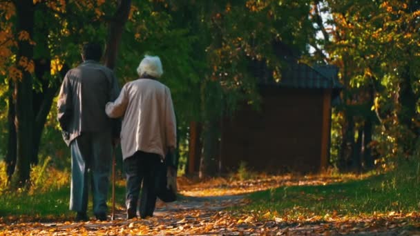 Casal Idosos Esposa Cabelos Grisalhos Marido Elegante Passeio Outerwear Outono — Vídeo de Stock