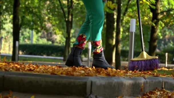 Reinigen Herfst Gele Bladeren Het Park Het Strand Van Onderen — Stockvideo