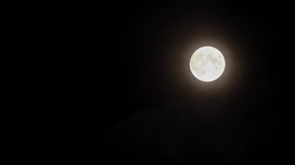 Hermosa Luna Ilumina Brillantemente Cielo Nocturno Través Las Nubes Nubes — Vídeo de stock