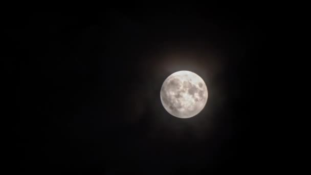 Lua Bonita Ilumina Brilhantemente Céu Noturno Através Das Nuvens Nuvens — Vídeo de Stock