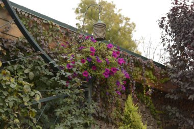 Çiçekçilik güzel doğa parkı.