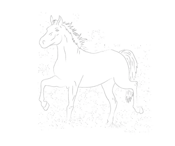 Caballo Sobre Fondo Blanco Silueta Ilustración Vectorial — Archivo Imágenes Vectoriales