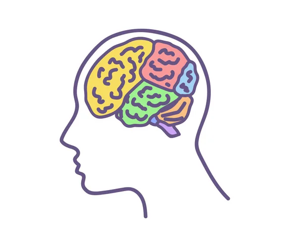 Κεφάλι Και Μυαλό Λευκό Φόντο Περιοχές Του Ανθρώπινου Εγκεφάλου Εικονογράφηση — Διανυσματικό Αρχείο