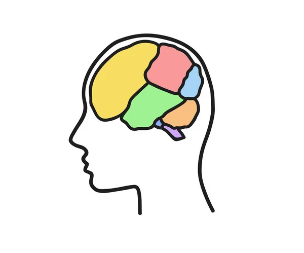 Περιοχές Του Εγκεφάλου Και Του Κεφαλιού Σύμβολο Εικονογράφηση Διανύσματος — Διανυσματικό Αρχείο