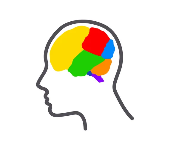 Head Brain White Background Regions Human Brain Vector Illustration — Stock vektor