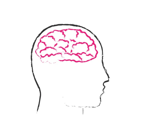 Áreas Cérebro Cabeça Símbolo Ilustração Vetorial —  Vetores de Stock