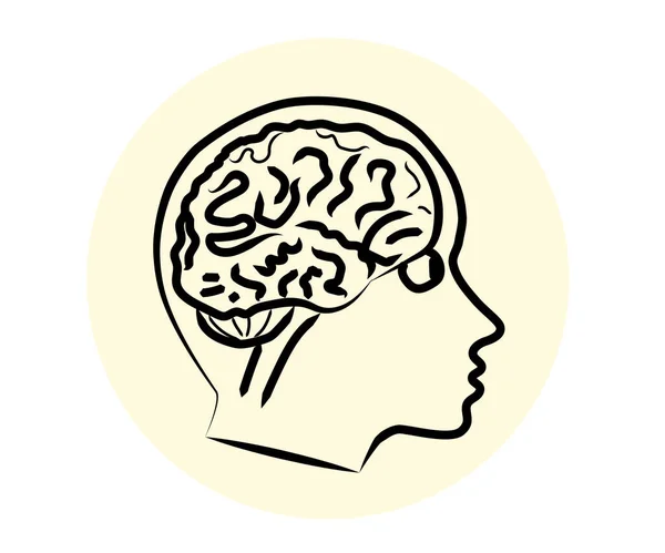 Человеческий Мозг Белом Фоне Векторная Иллюстрация — стоковый вектор