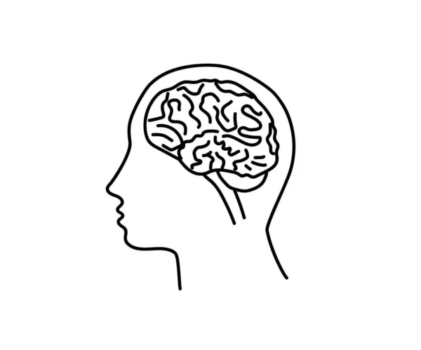 Cerebro Humano Sobre Fondo Blanco Ilustración Vectorial — Vector de stock