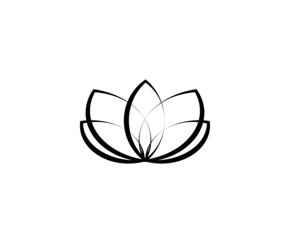 Lotus Florescendo Fundo Branco Ilustração Vetorial Vetor De Stock
