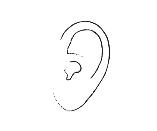 Menschliches Ohr Auf Weißem Hintergrund Skizze Vektorillustration — Stockvektor