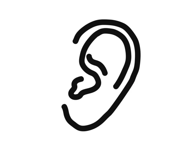 Human Ear White Background Sketch Vector Illustration — Stock Vector