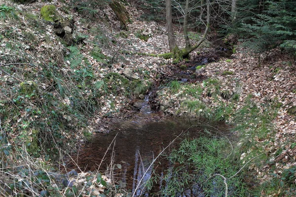 黒い森の水源 — ストック写真