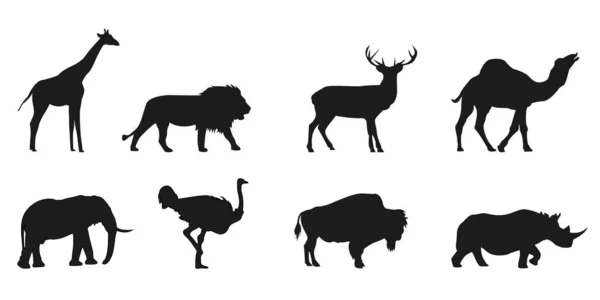 Wild Life Animals Silhouette Set — Stock Vector