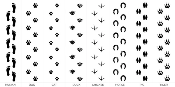 Footprint Vector Silhouette Set — Image vectorielle