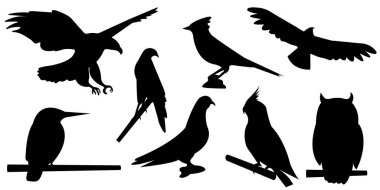 Birds Vector Silhouette Set