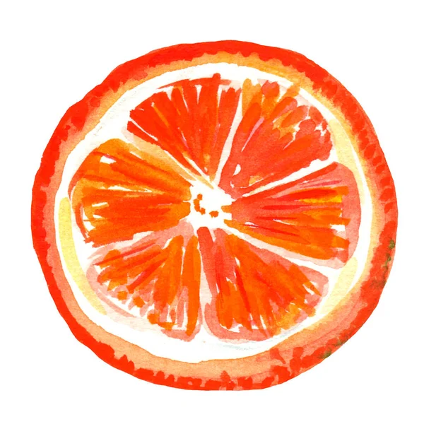 丸いオレンジのスライスの水彩イラスト. — ストック写真