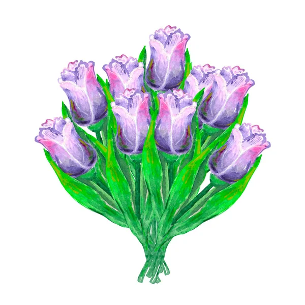 Akvarell illustration av en bukett lila och rosa tulpaner 9 stycken — Stockfoto