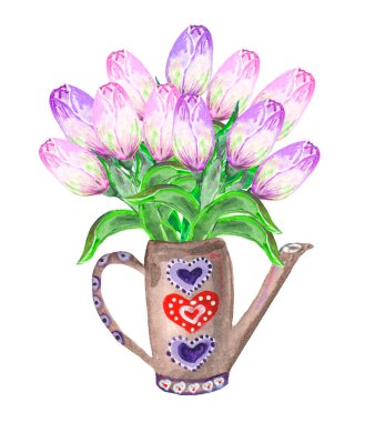 Dekoratif bir sulama kutusundaki büyük, gür, görkemli pembe lalelerin suluboya çizimi