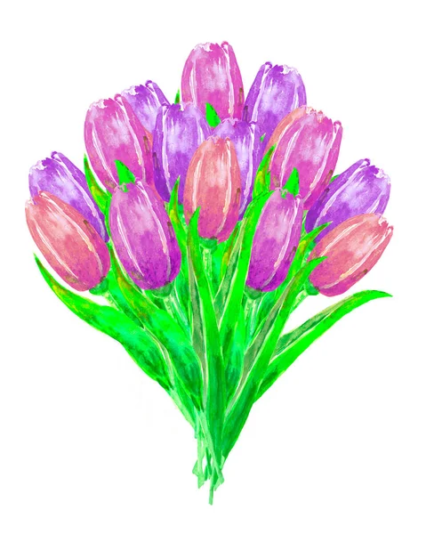 Akvarell illustration av en frodig bukett av rött, lila och rosa tulpan, målad med penseldrag. — Stockfoto