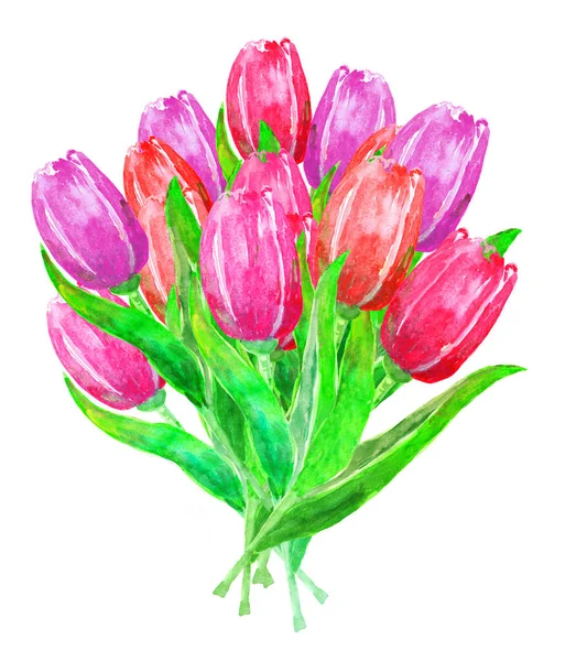 Akvarell illusztráció egy csokor vörös és rózsaszín tulipán — Stock Fotó