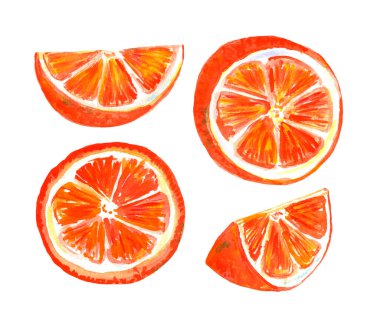 Portakallı, dilimli suluboya resimler, hayattan güzel çizimler.