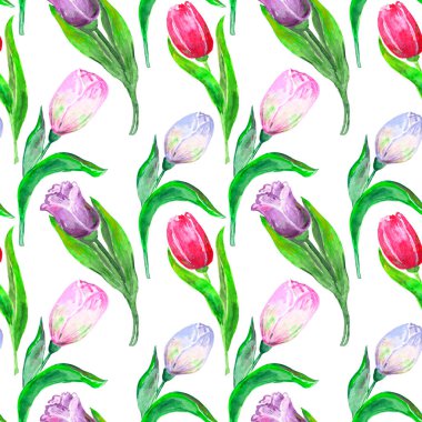 Kusursuz suluboya deseni, beyaz arka planda laleler, duvar kağıdı, ambalaj kağıdı, tekstil