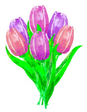 Bir buket kırmızı ve pembe lalenin suluboya çizimi. 6 parça, bahar çiçekleri.