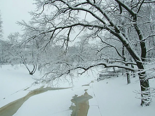 Lettland Riga 2021 Schnee Stadtparks Und Straßen — Stockfoto